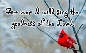 Nativity - Vigil - Response - English