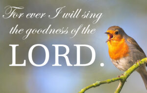 Nativity - Vigil - Response - English - V2