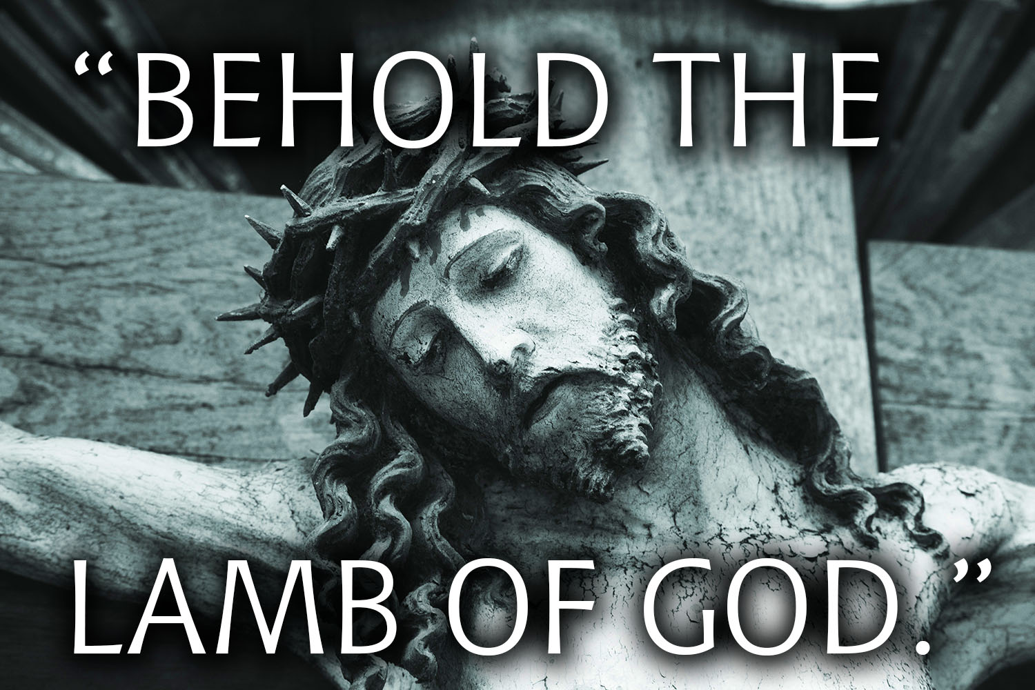 Ordinary Time - Week 2 - Gospel - English