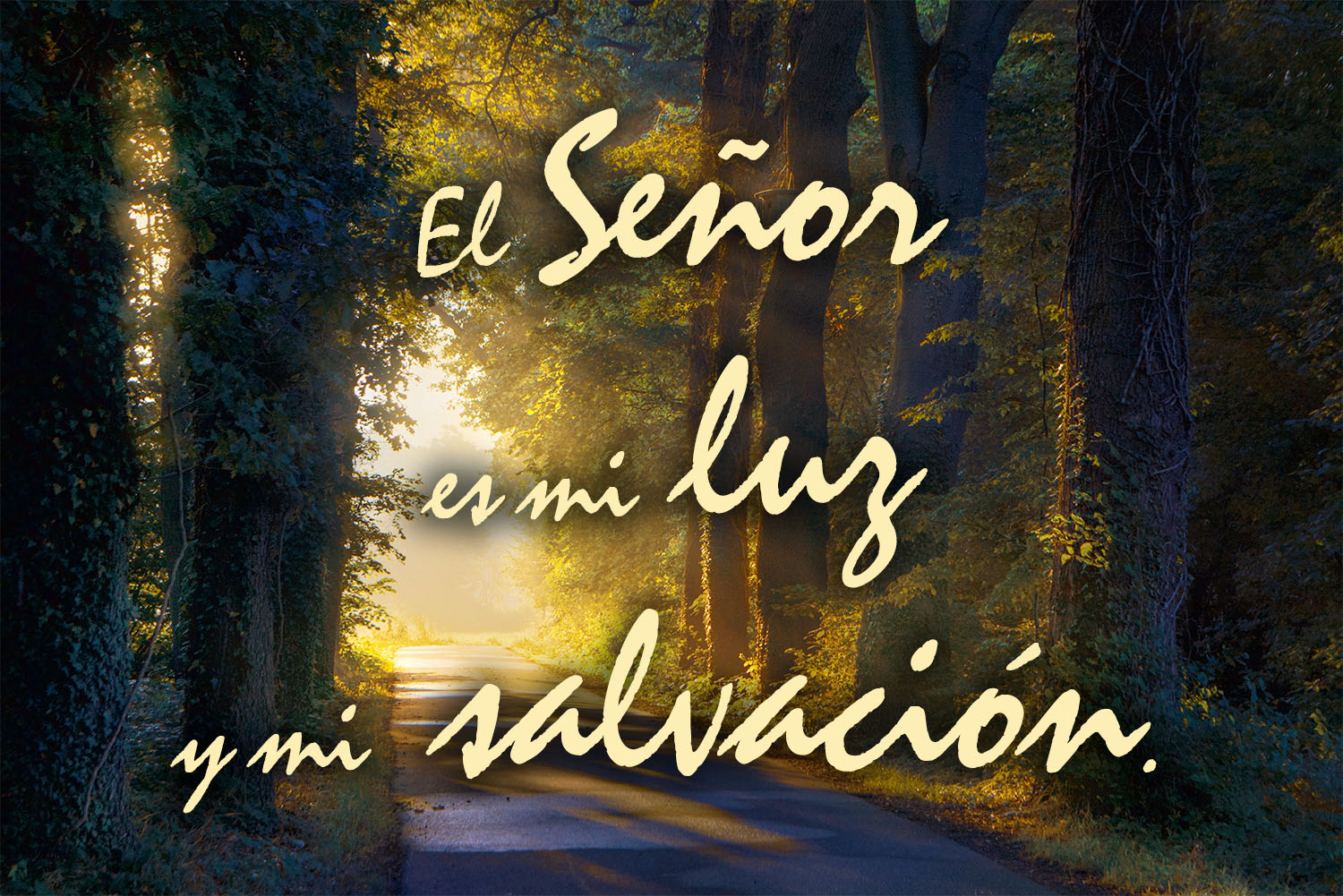 Ordinary Time - Week 3 - Response - Spanish