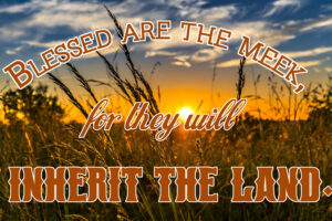 Ordinary Time - Week 4 - Gospel - English