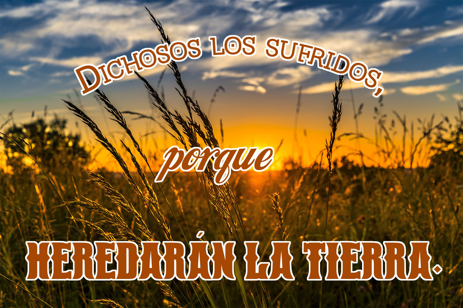 Ordinary Time - Week 4 - Gospel - Spanish