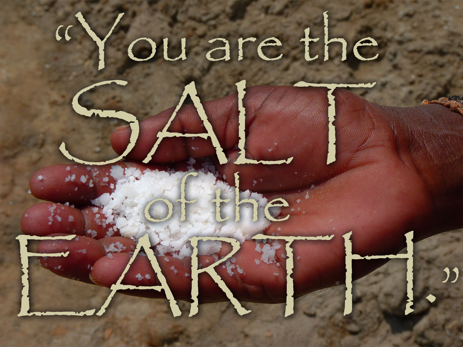 Ordinary Time - Week 5 - Gospel - English - V2