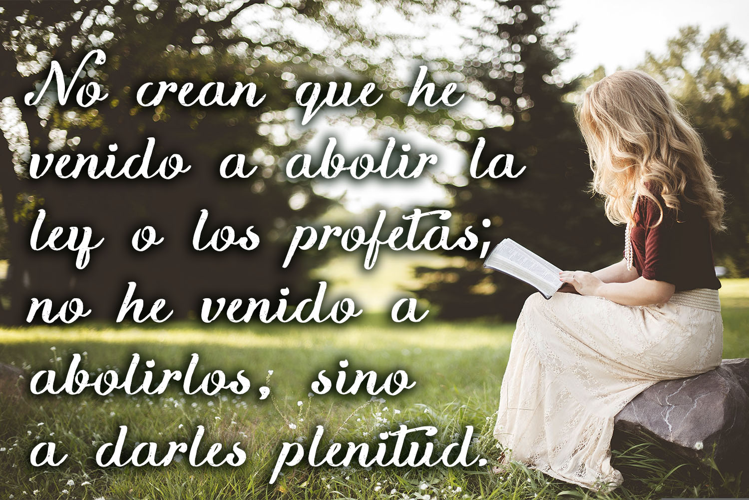 Ordinary Time - Week 6 - Gospel - Spanish