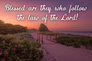 Ordinary Time - Week 6 - Response - English