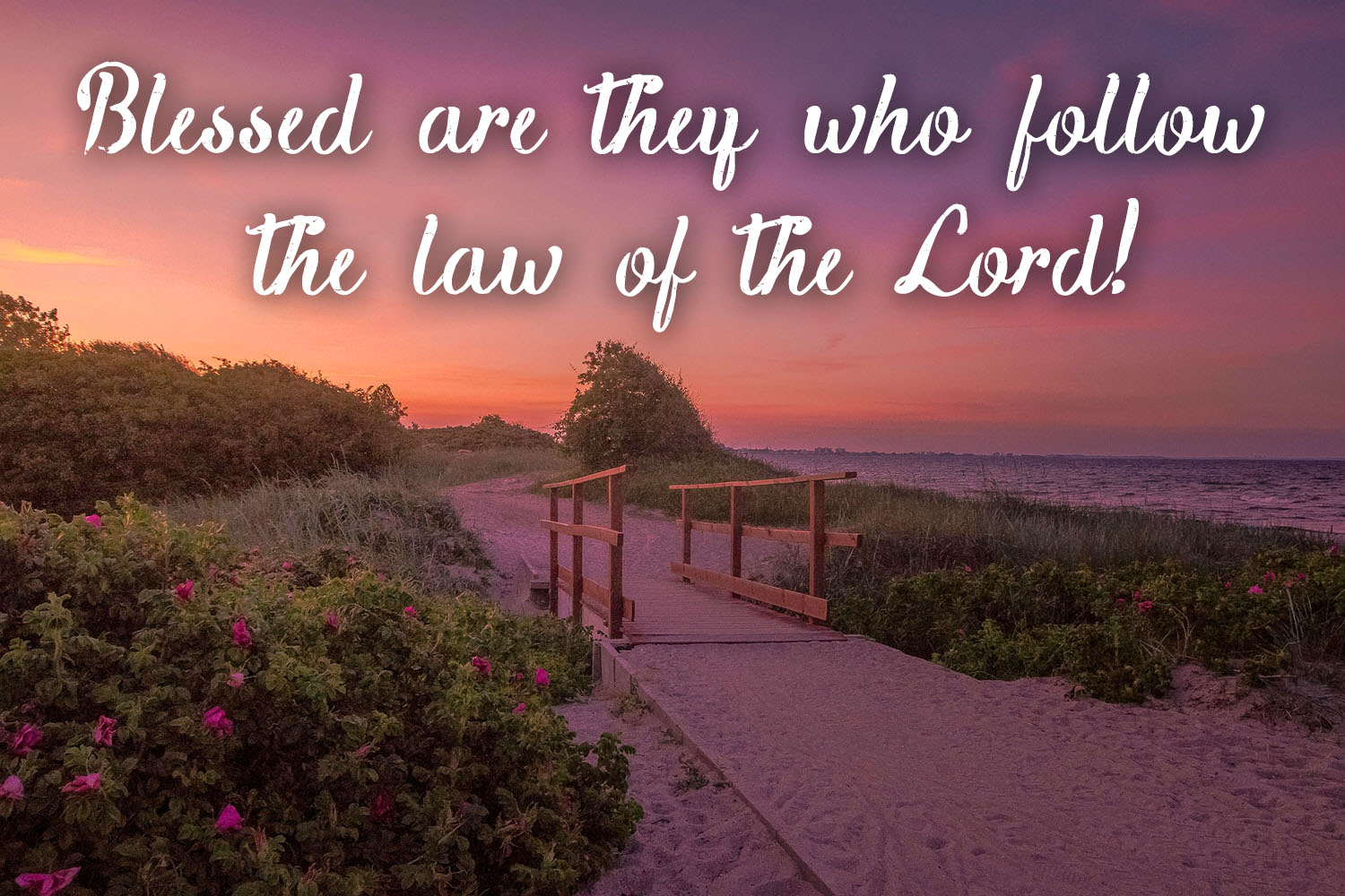 Ordinary Time - Week 6 - Response - English