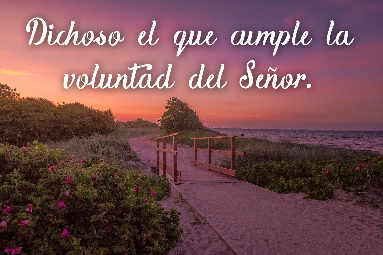 Ordinary Time - Week 6 - Response - Spanish