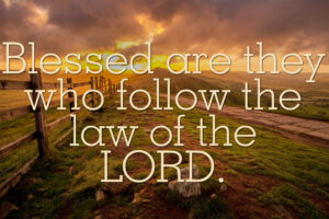 Ordinary Time - Week 6 - Response - English - V2