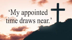 Palm Sunday - Gospel - English