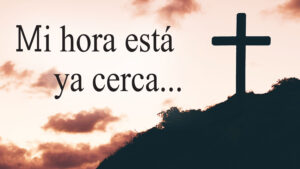 Palm Sunday - Gospel - Spanish