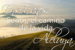 Easter - Week 3 - Response - Spanish - V2