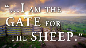 Easter - Week 4 - Gospel - English