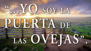Easter - Week 4 - Gospel - Spanish
