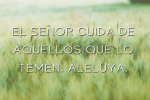 Easter - Week 5 - Response - Spanish