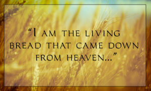 Most Holy Body and Blood - Gospel - English