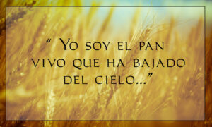 Most Holy Body and Blood - Gospel - Spanish