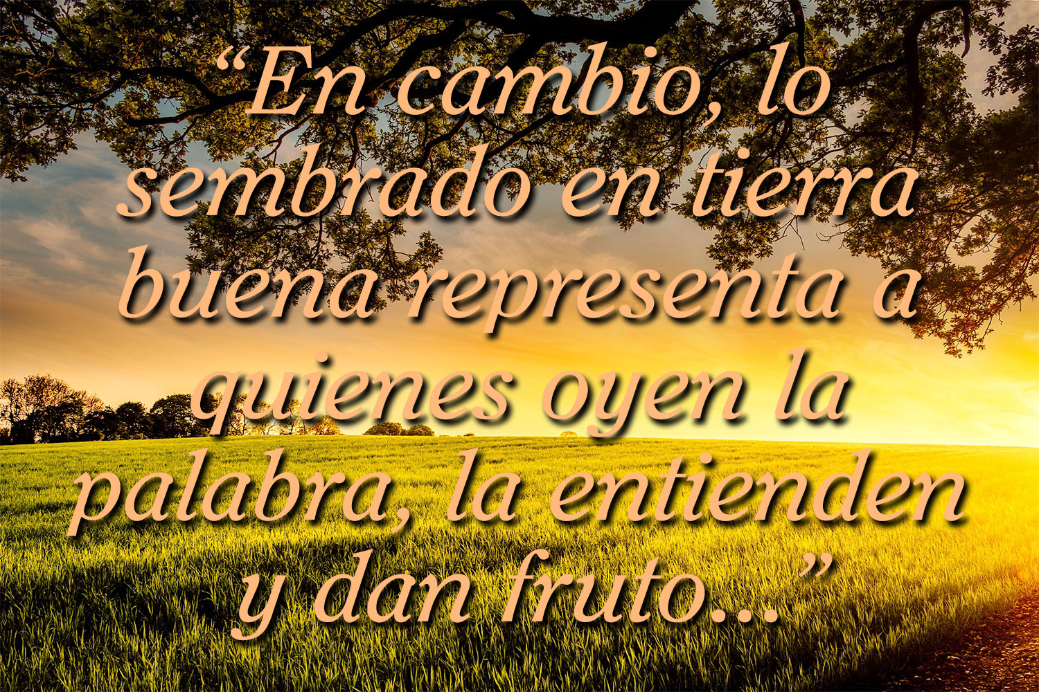 Ordinary Time - Week 15 - Gospel - Spanish - V2