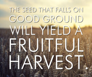 Ordinary Time - Week 15 - Response - English