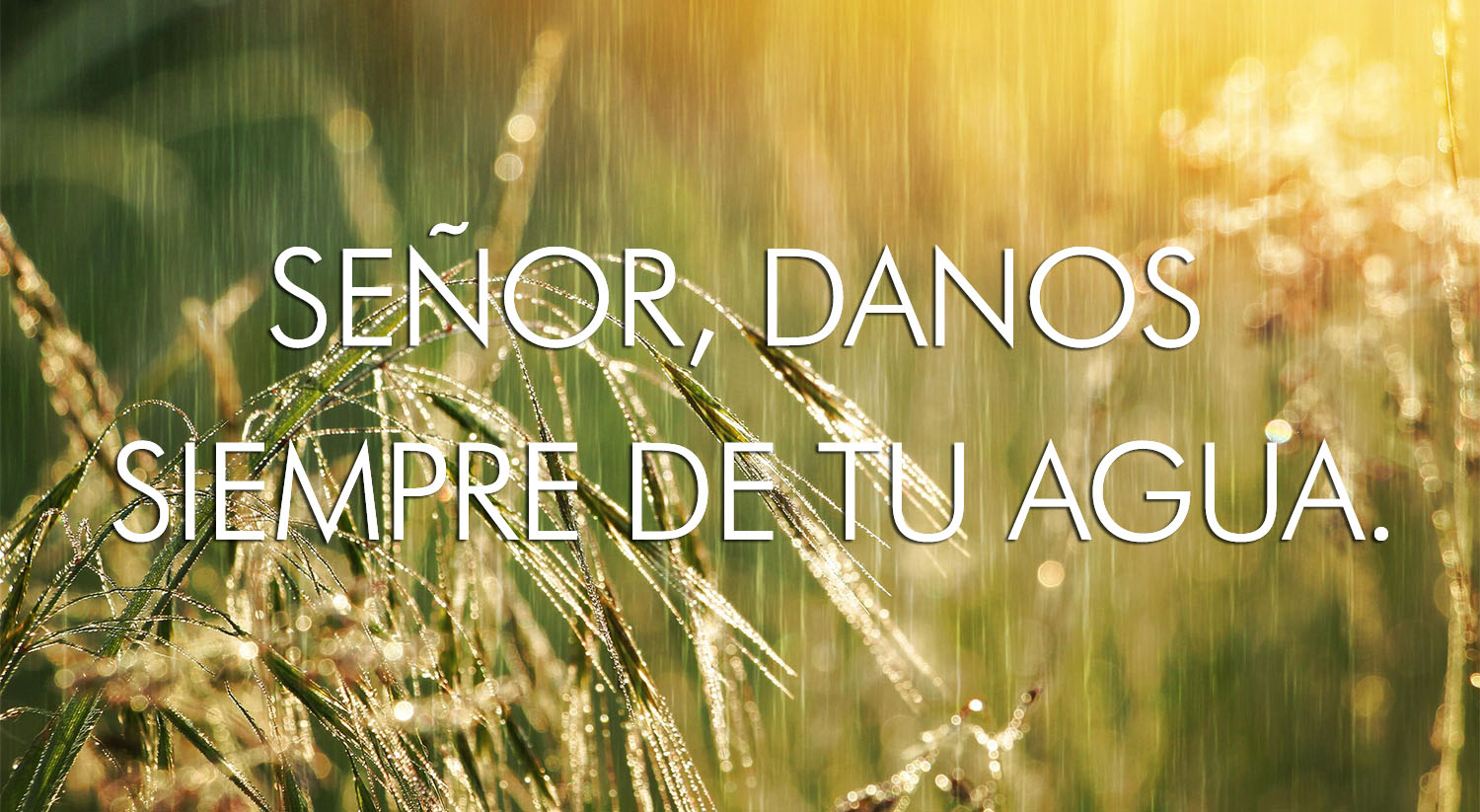 Ordinary Time - Week 15 - Response - Spanish