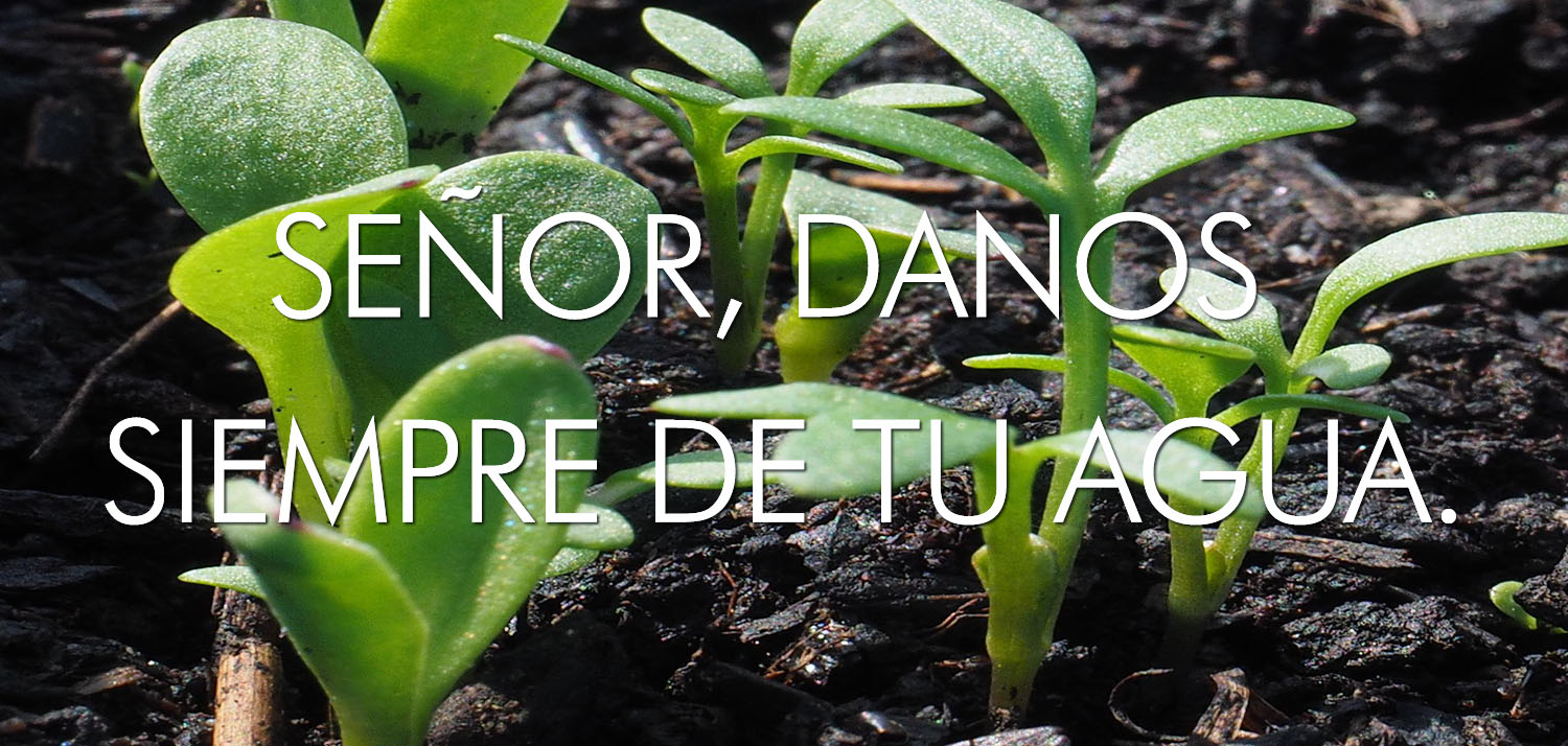 Ordinary Time - Week 15 - Response - Spanish - V2 1 Ordinary Time - Week 15 - Response - Spanish - V2