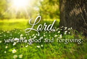 Ordinary Time - Week 16 - Response - English