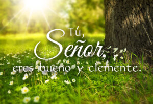 Ordinary Time - Week 16 - Response - Spanish