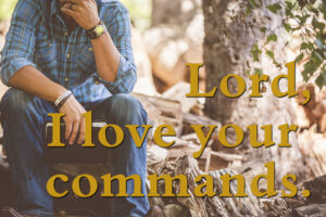 Ordinary Time - Week 17 - Response - English