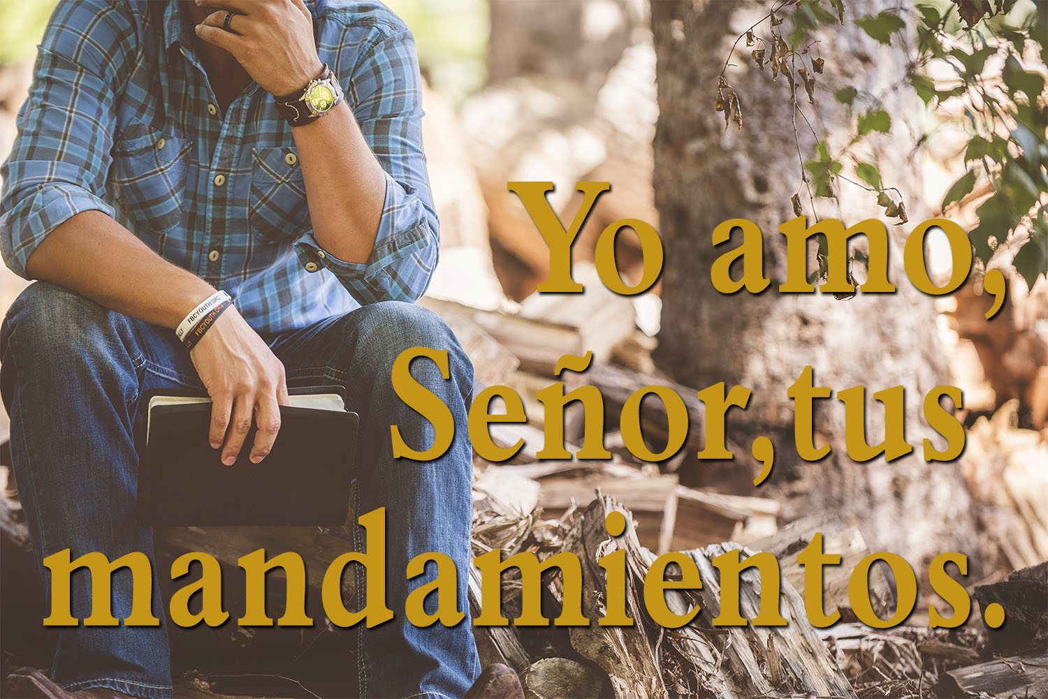 Ordinary Time - Week 17 - Response - Spanish