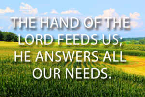 Ordinary Time - Week 18 - Response - English