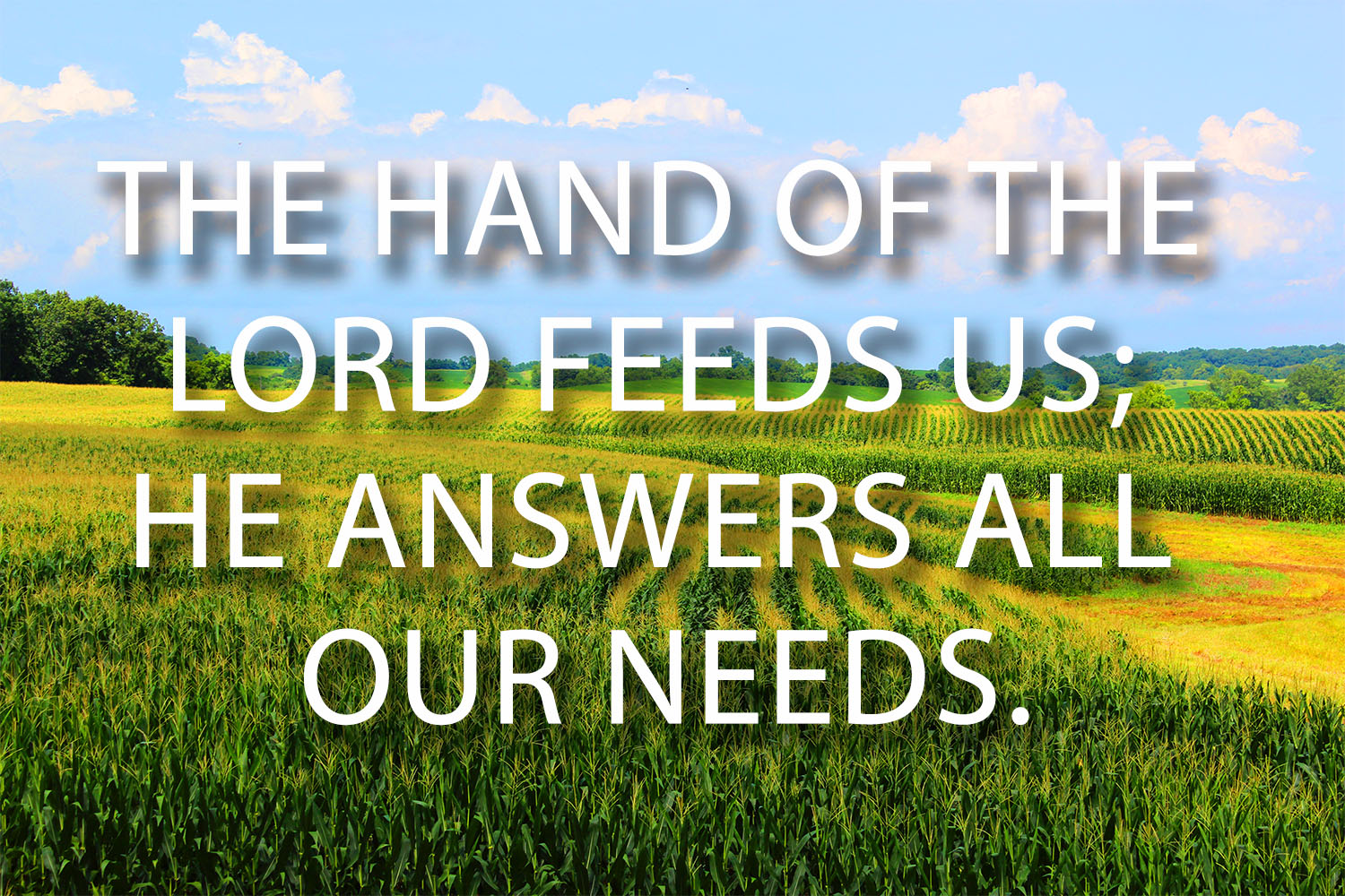 Ordinary Time - Week 18 - Response - English 1 Ordinary Time - Week 18 - Response - English