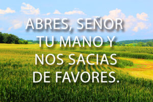 Ordinary Time - Week 18 - Response - Spanish