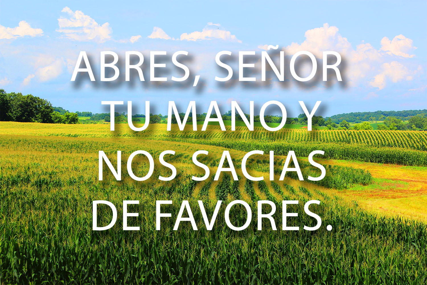 Ordinary Time - Week 18 - Response - Spanish