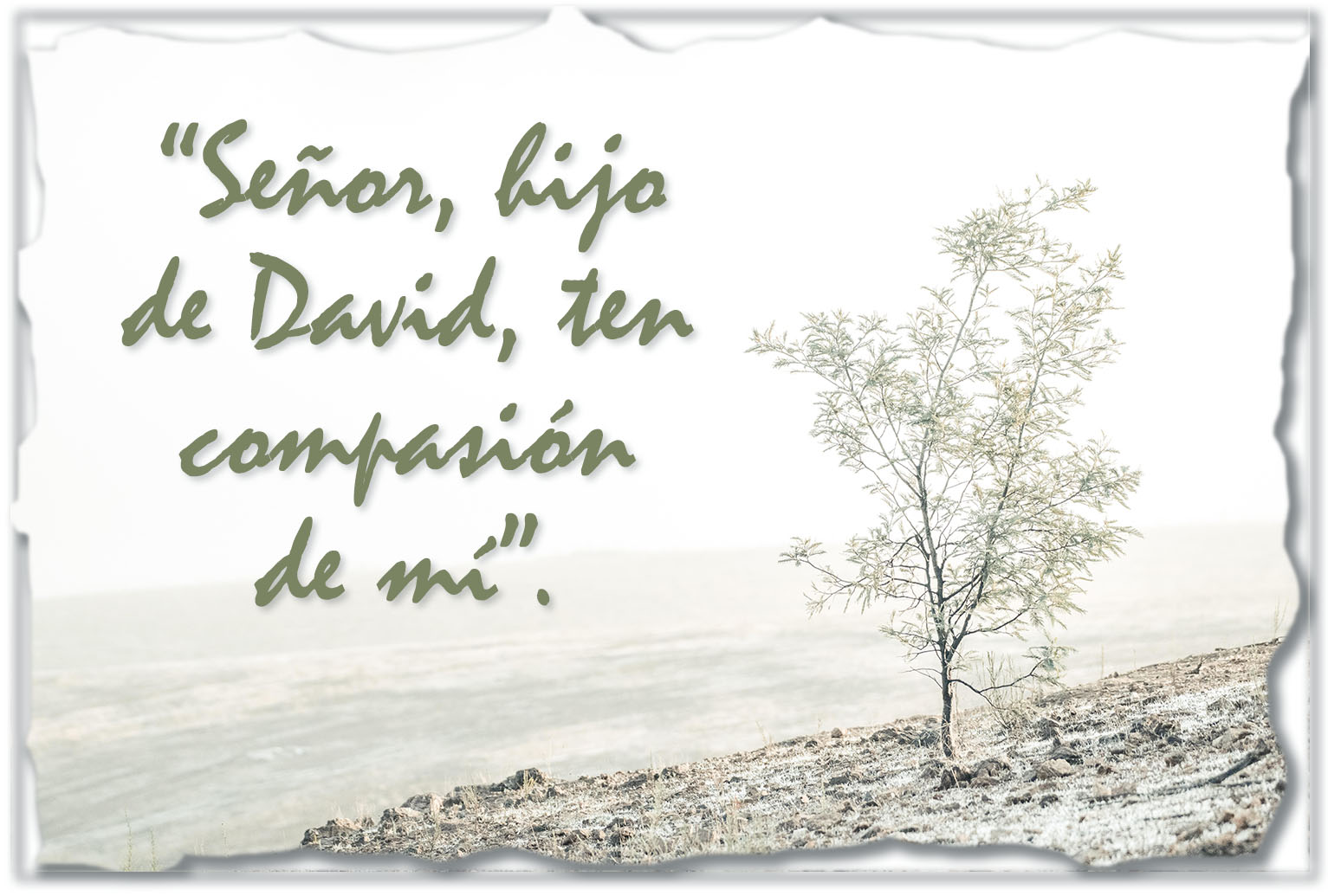 Ordinary Time - Week 20 - Gospel - Spanish - V2