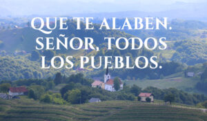 Ordinary Time - Week 20 - Response - Spanish