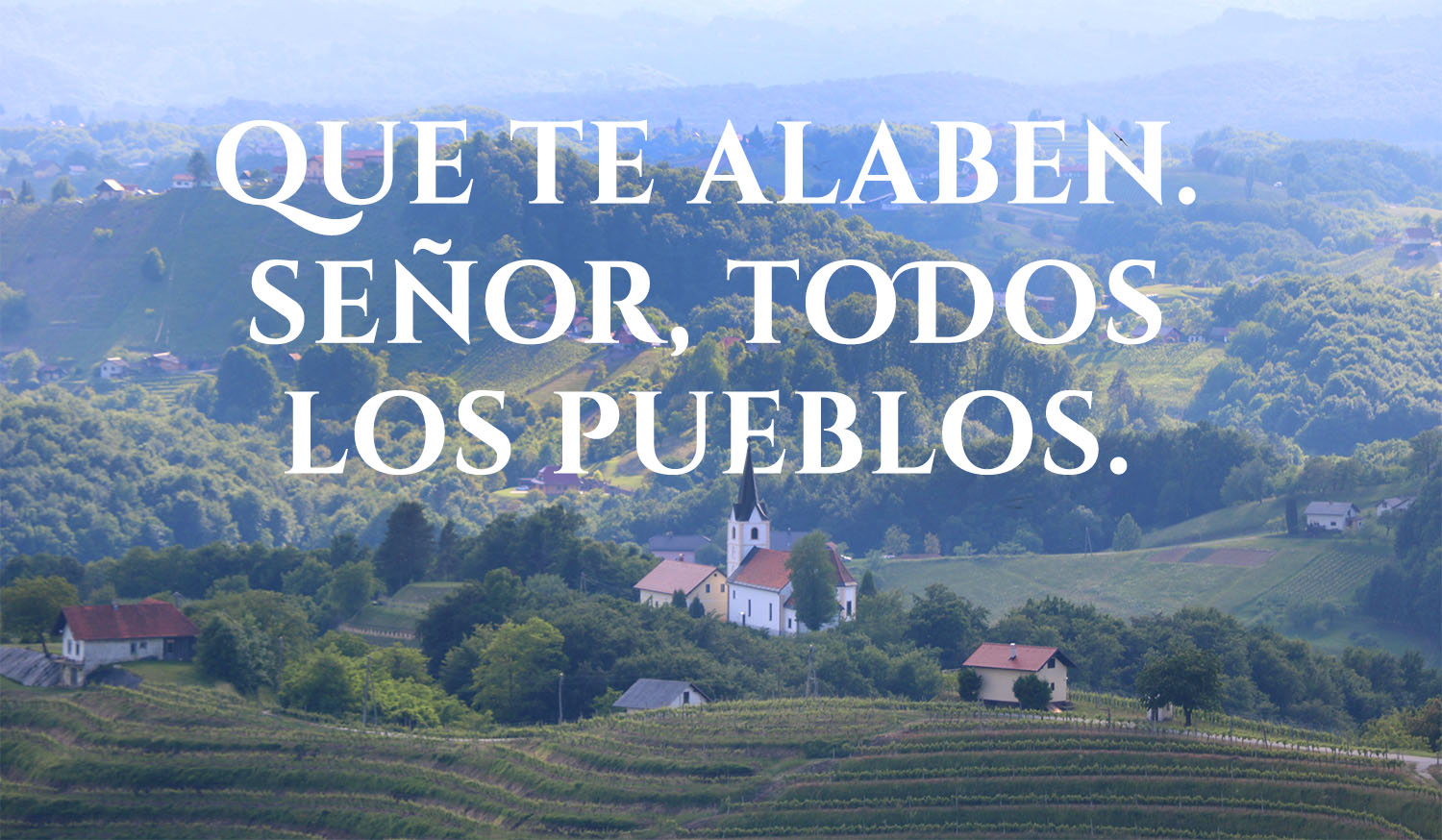 Ordinary Time - Week 20 - Response - Spanish