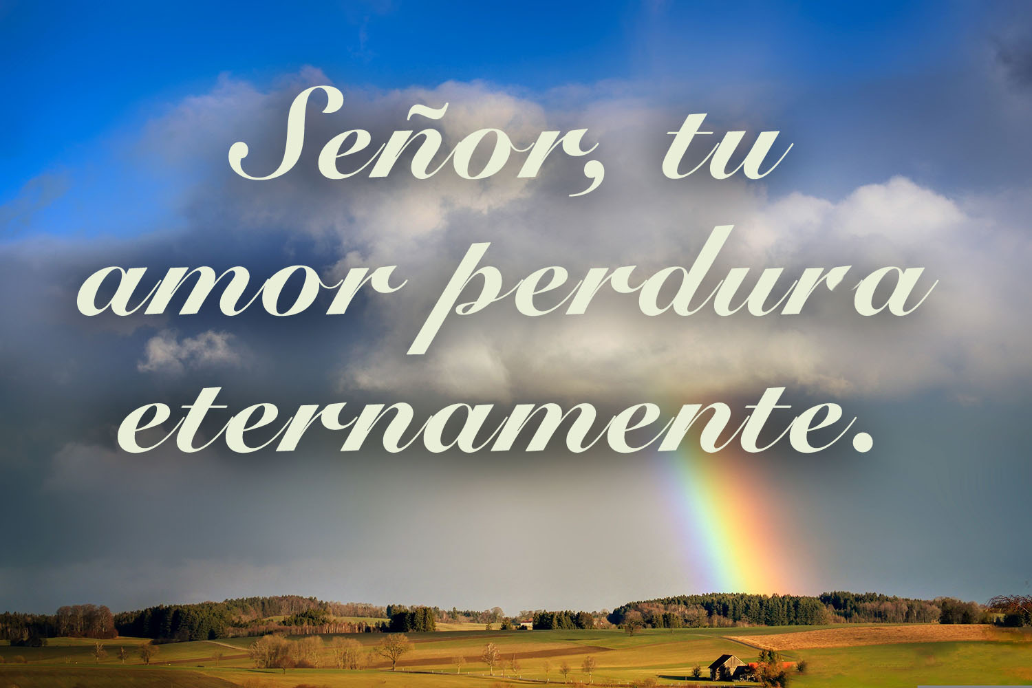 Ordinary Time - Week 21 - Response - Spanish