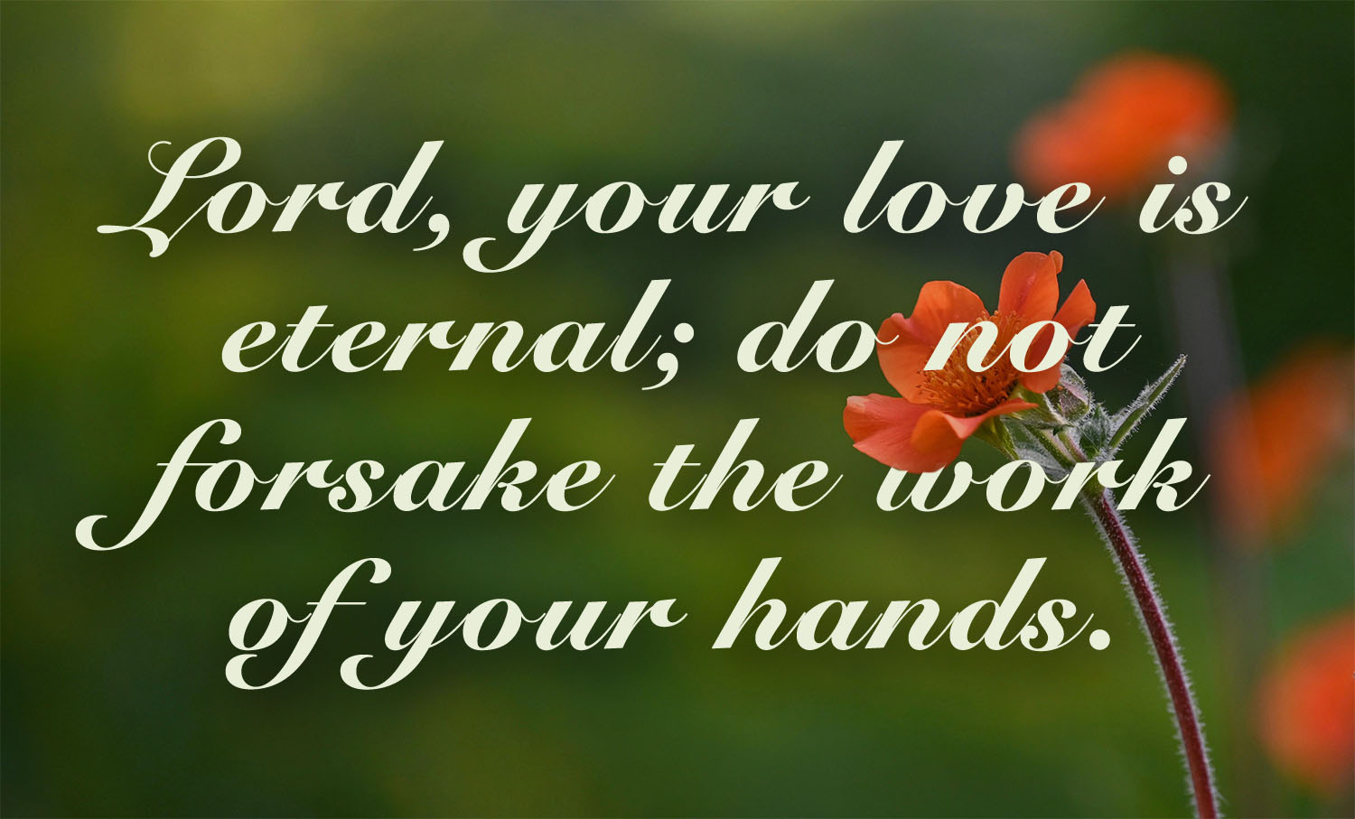 Ordinary Time - Week 21 - Response - English - V2