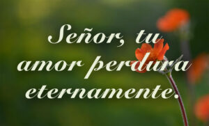 Ordinary Time - Week 21 - Response - Spanish - V2