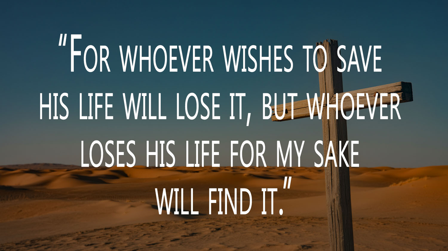 Ordinary Time - Week 22 - Gospel - English