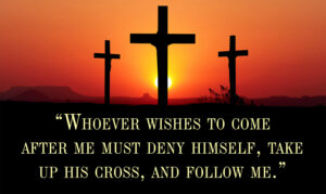 Ordinary Time - Week 22 - Gospel - English - V2