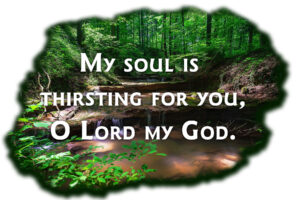 Ordinary Time - Week 22 - Response - English