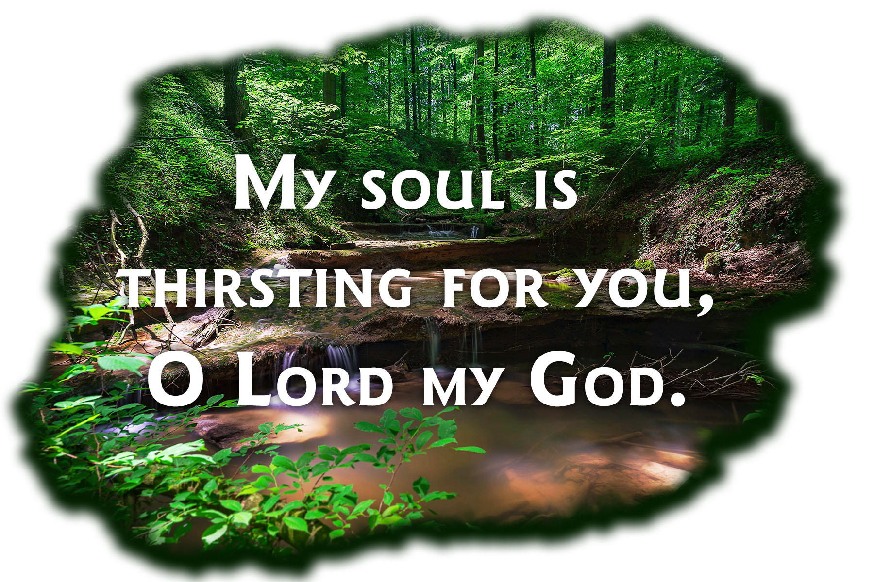 Ordinary Time - Week 22 - Response - English 1 Ordinary Time - Week 22 - Response - English