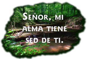 Ordinary Time - Week 22 - Response - Spanish