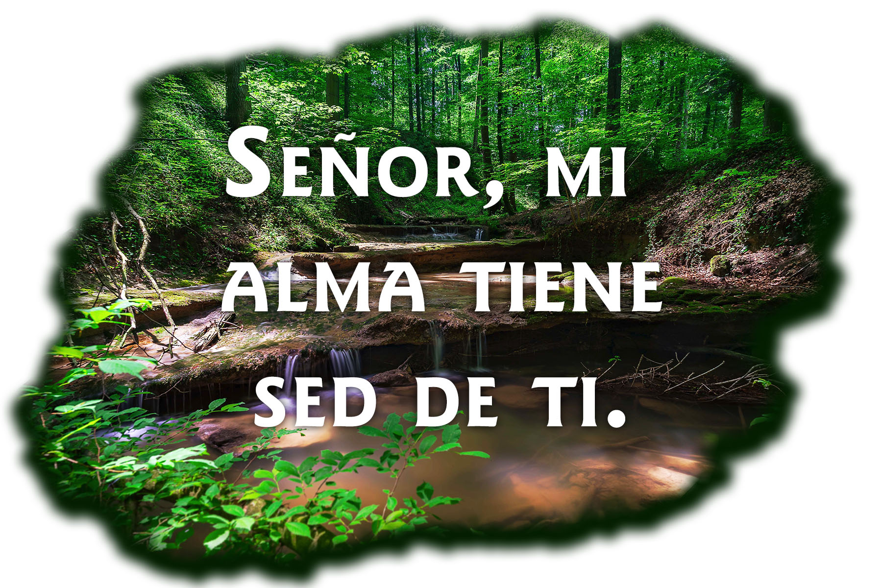 Ordinary Time - Week 22 - Response - Spanish