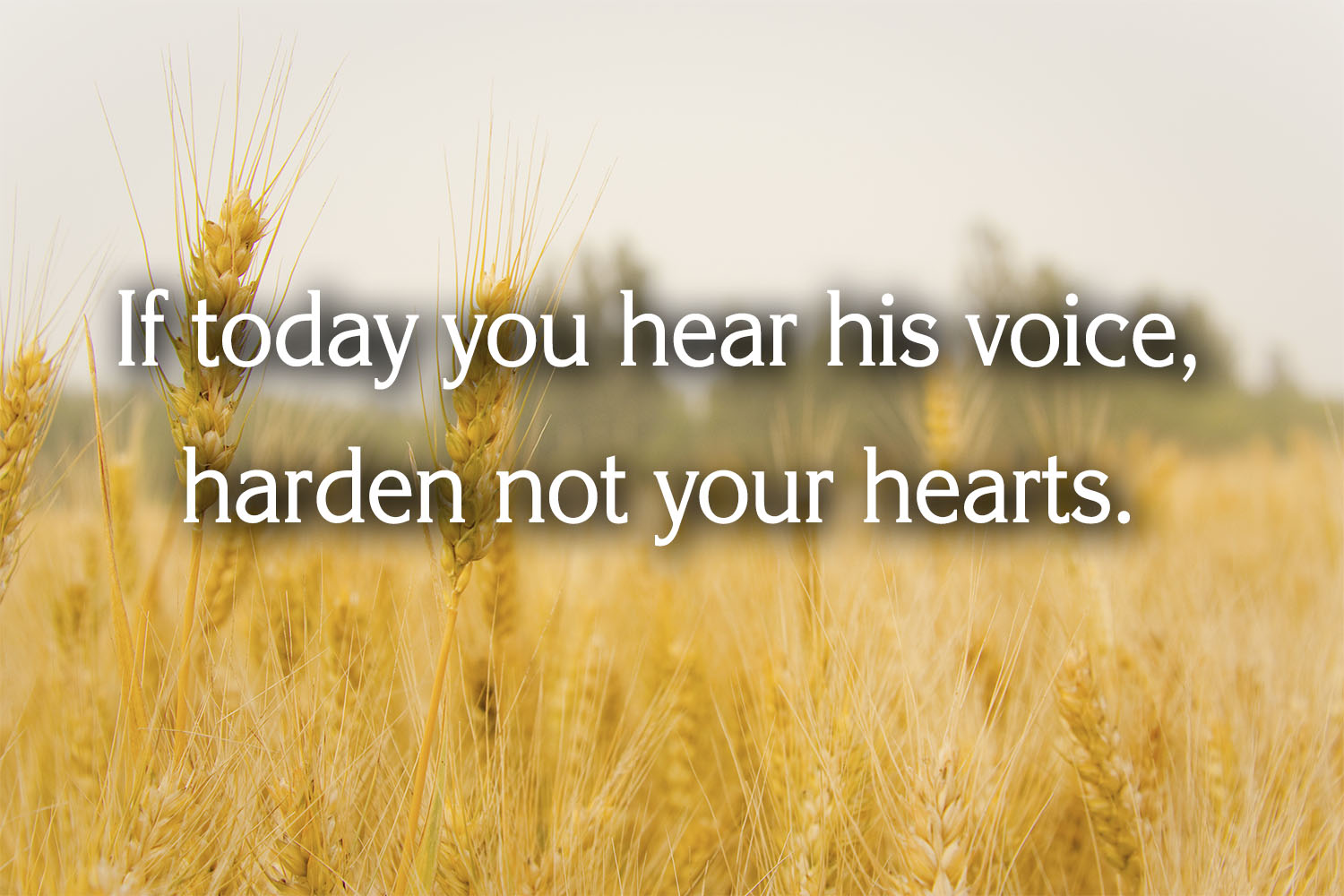 Ordinary Time - Week 23 - Response - English 1 Ordinary Time - Week 23 - Response - English