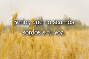 Ordinary Time - Week 23 - Response - Spanish