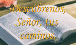 Ordinary Time - Week 26 - Response - Spanish