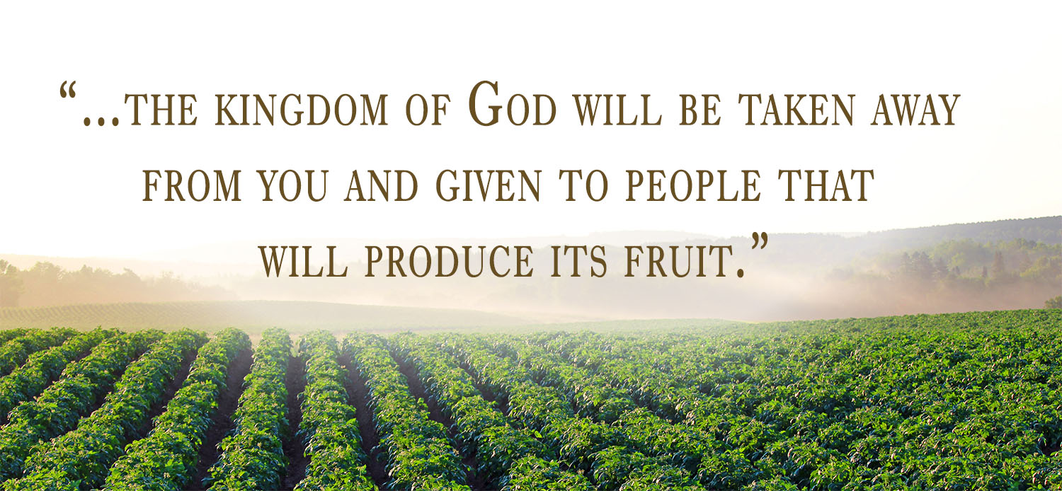 Ordinary Time - Week 27 - Gospel - English