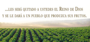 Ordinary Time - Week 27 - Gospel - Spanish