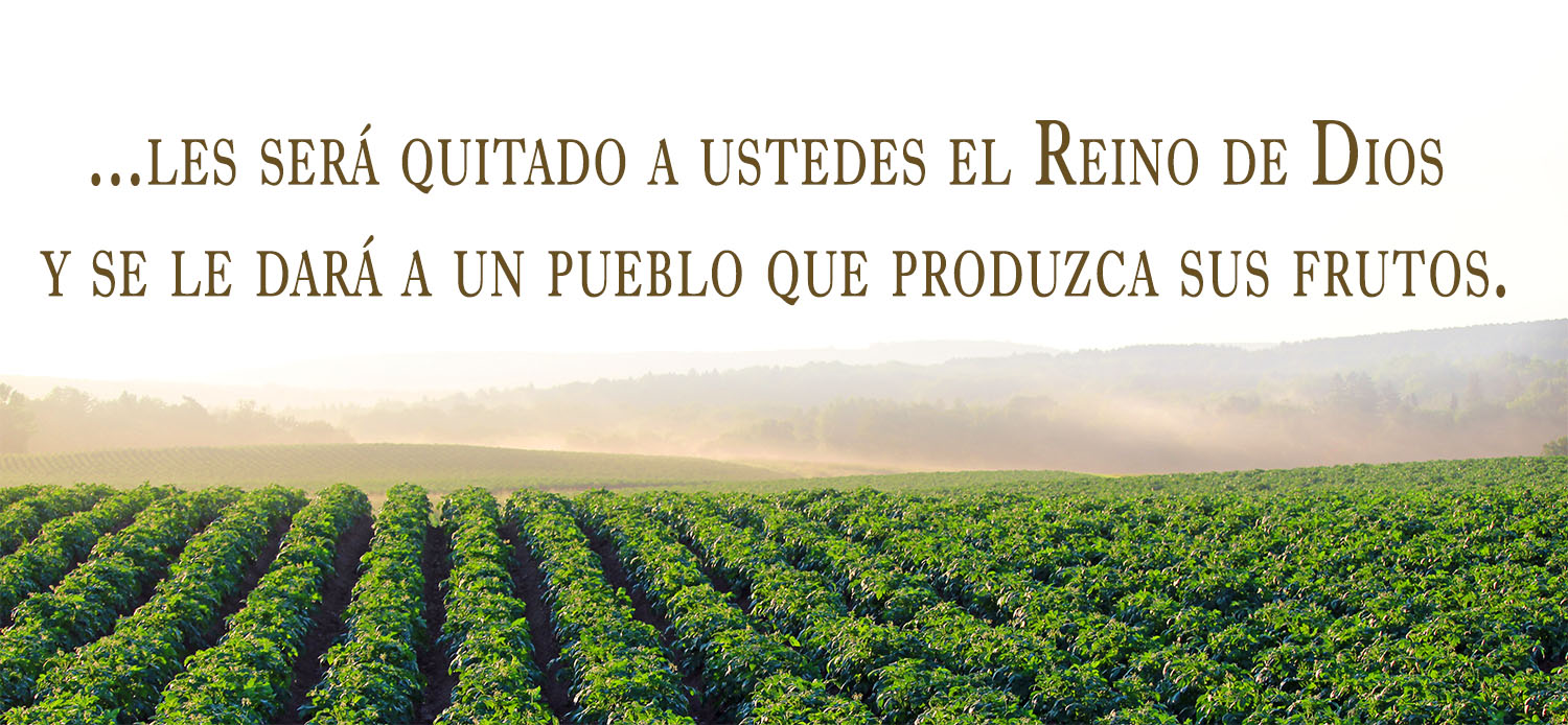 Ordinary Time - Week 27 - Gospel - Spanish